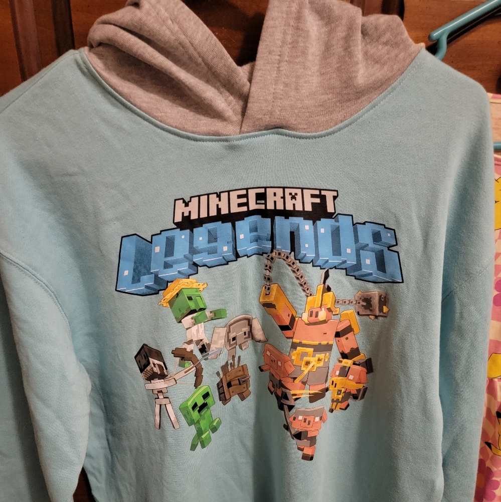 Kids Minecraft Hoodie 14/16